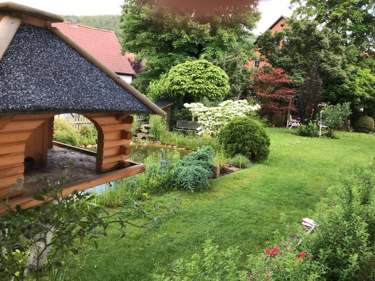 foto11