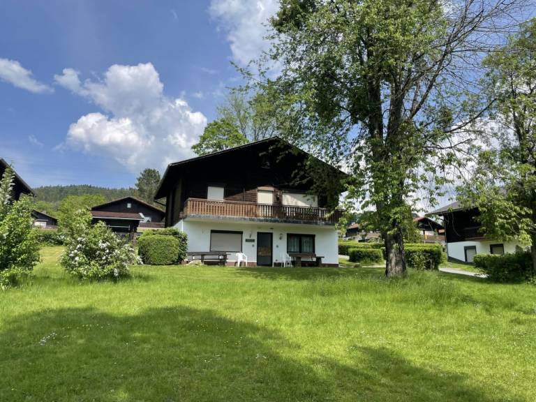 foto19