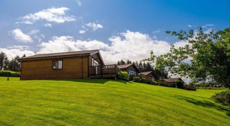 Lodge with garden | Pets allowed in Neath