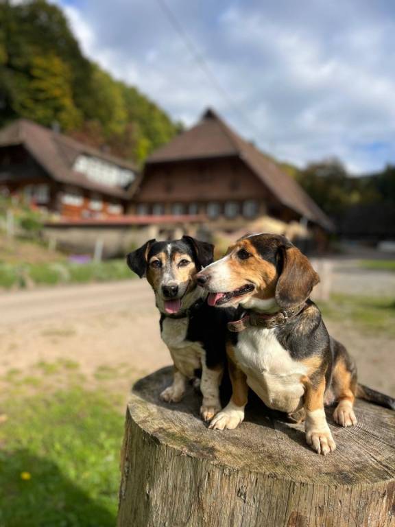 foto17