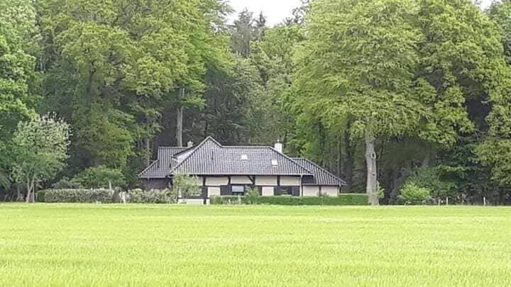 Ferienhaus Löningen