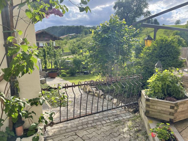foto12