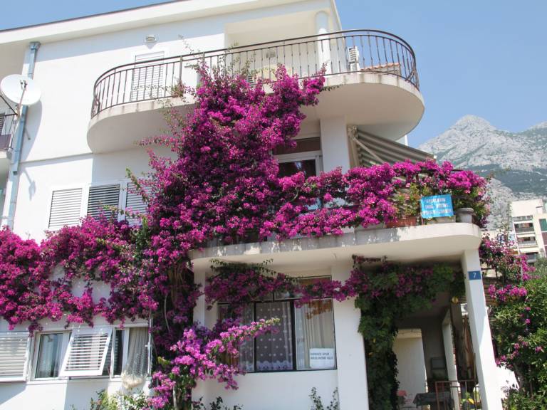 Appartement Makarska