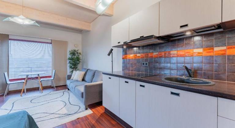 Rental apartment with 1 room for 4 persons — photo 3