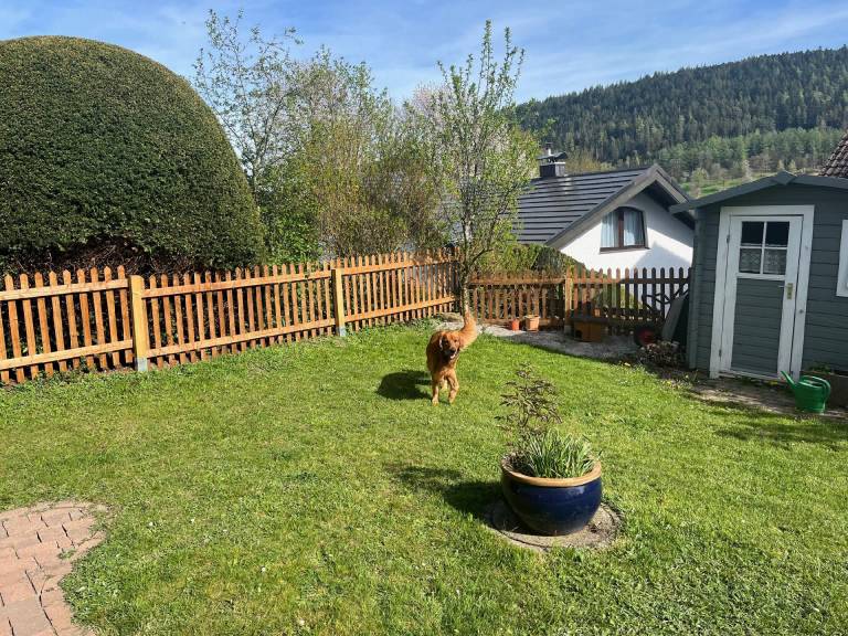 foto11