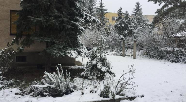 Next to university — photo 4