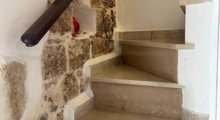 House | Dogs allowed — photo 4