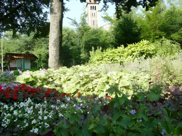 foto11