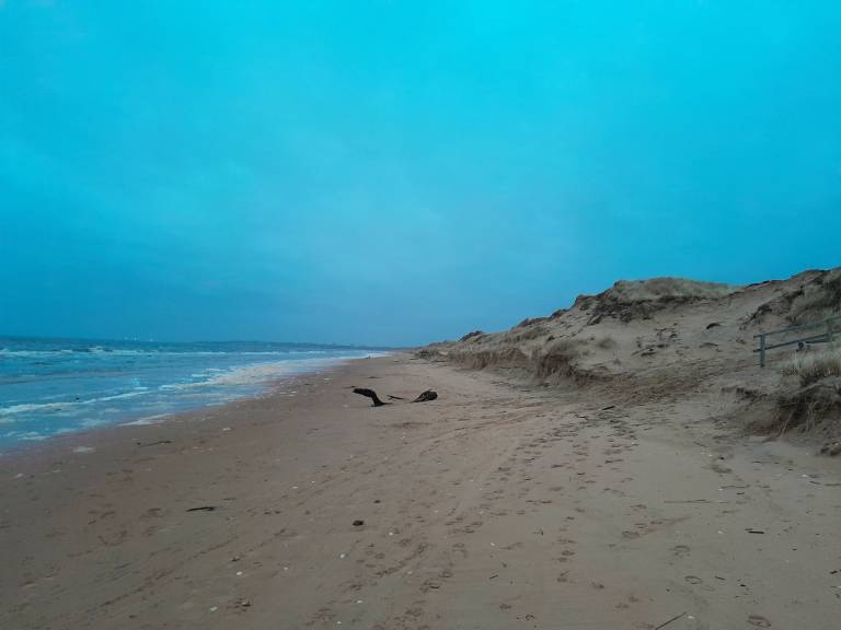 foto1