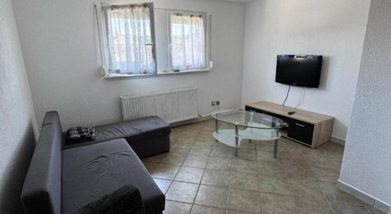 Lovely apartment | Pets are welcome — photo 2
