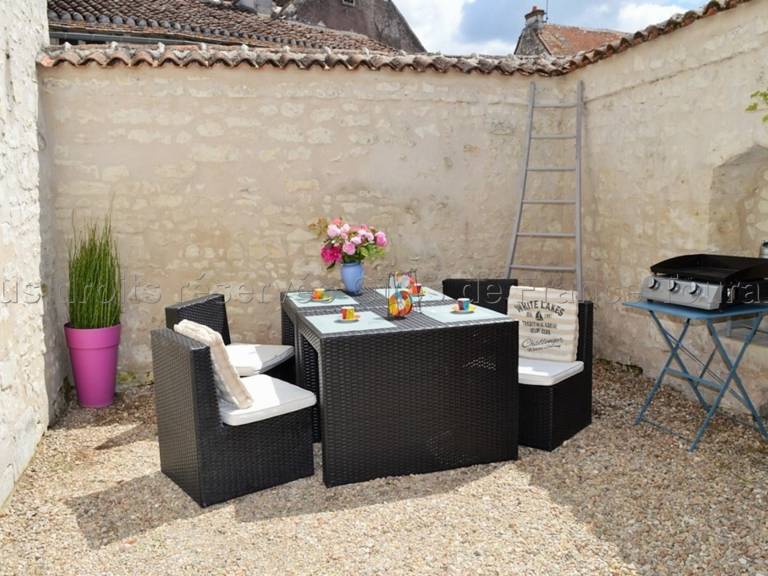 Fully equipped wonderful cottage with yard & grill | Pet-friendly in Chinon