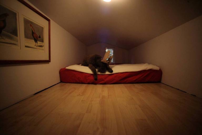 foto17