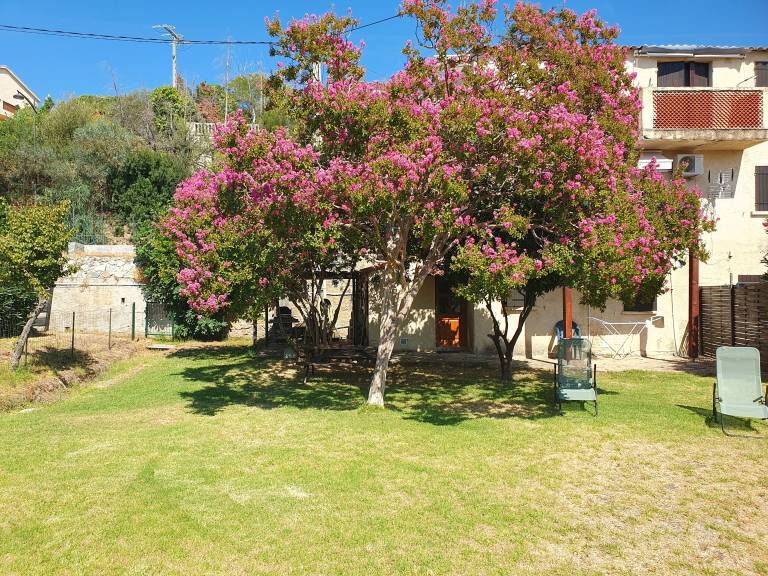 Appartement Sagone