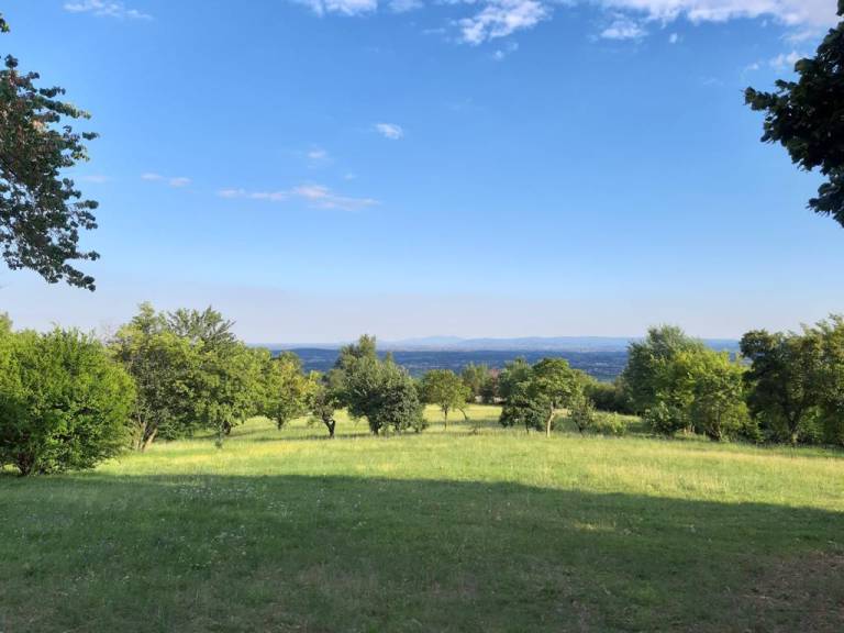Fully equipped villa with BBQ & garden | Pets are welcome — photo 2