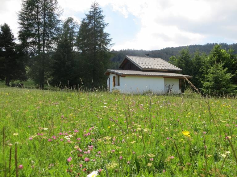 House  Isola 2000