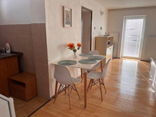 Apartmán Rataje nad Sázavou