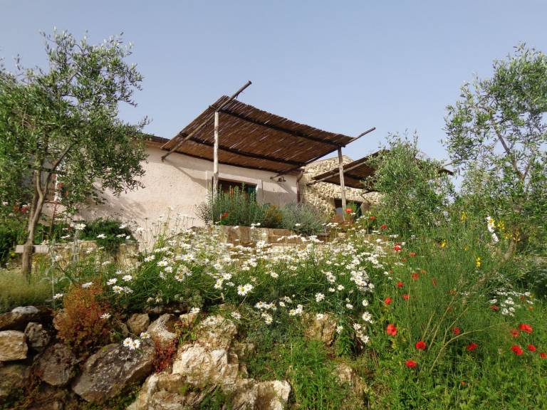 Holiday apartment with pool, barbecue & garden | Nature view | Dogs allowed — photo 3