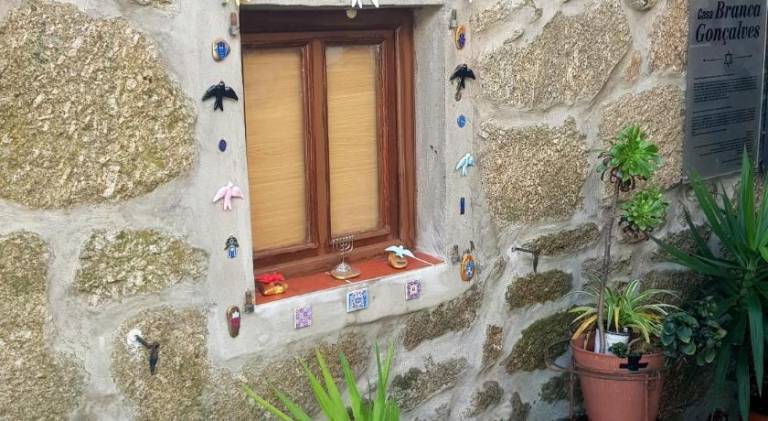 foto35