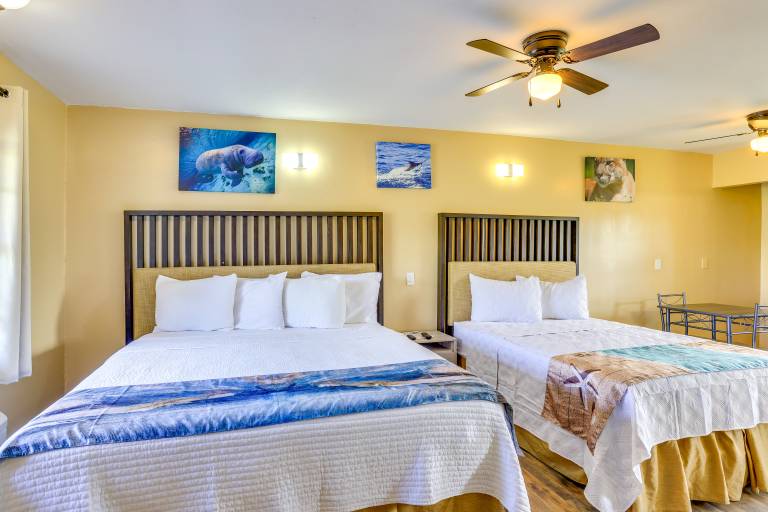 Pet-Friendly Studio 2 Mi to Dtwn Sebring! — photo 4