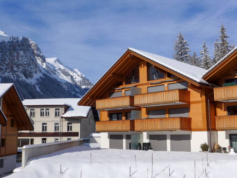 Appartement Adelboden