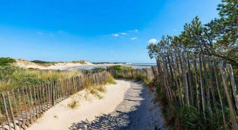 Wonderful rental apartment | Next to the beach | Pet-friendly — photo 4