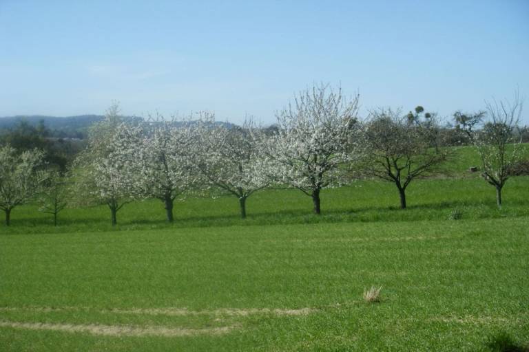 foto16