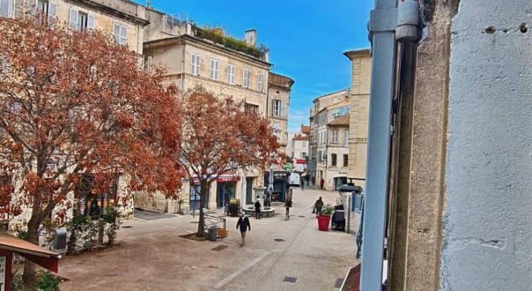 Beautiful rental apartment | Close to Popes' Palace | Dogs allowed — photo 4