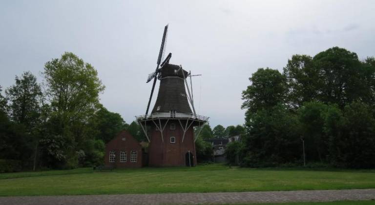 foto19