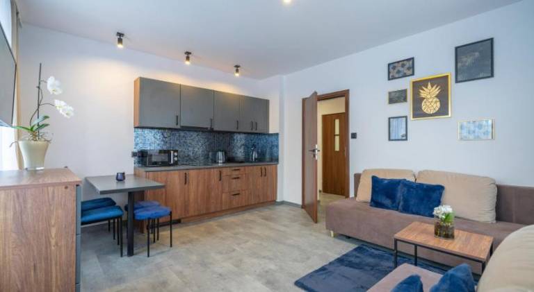 Beautiful apartment with yard | Pets allowed in Szklarska Poreba