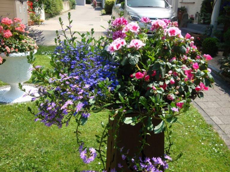 foto25