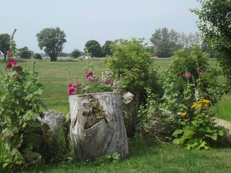 foto19