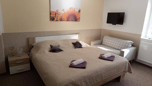 Apartmán Heřmanův Městec