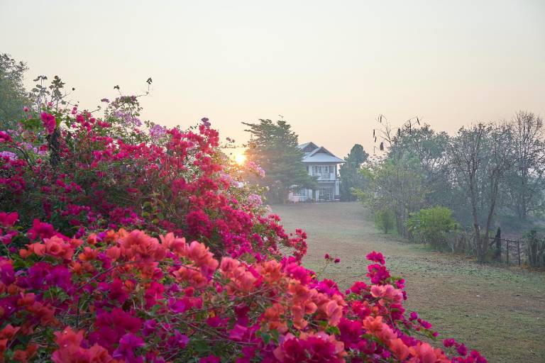 House Noi Saphan Yao