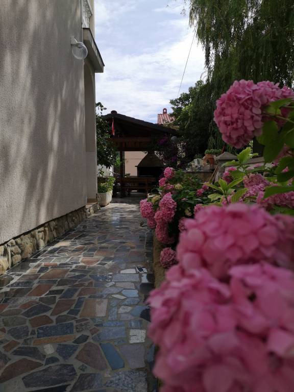 foto33
