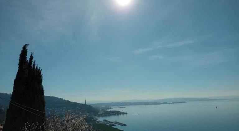 foto37