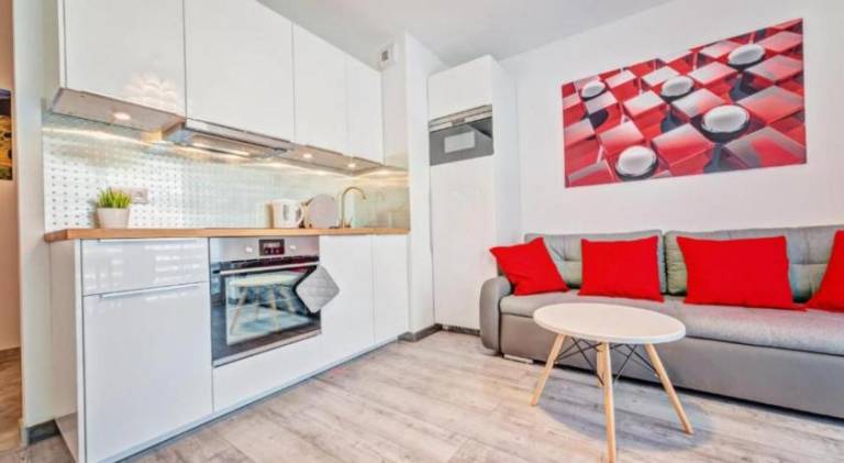 Apartment with terrace — photo 5