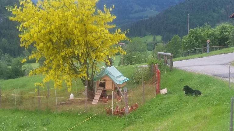 foto9