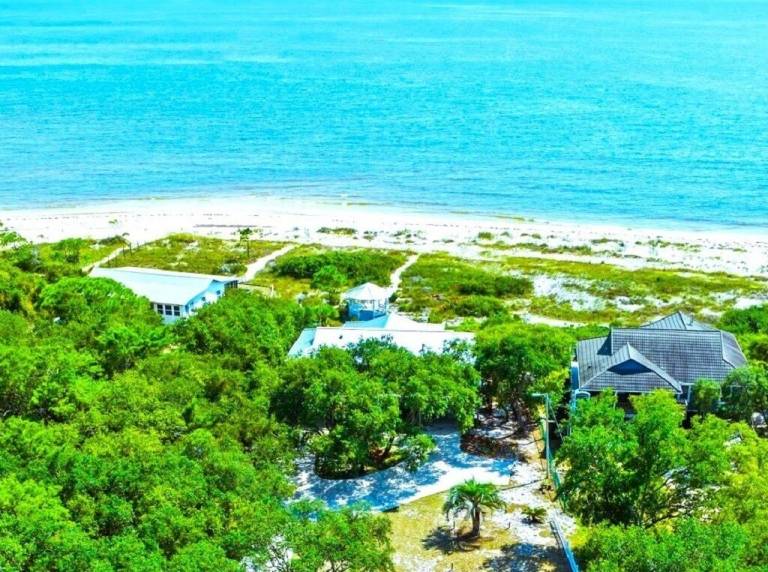 House Alligator Point
