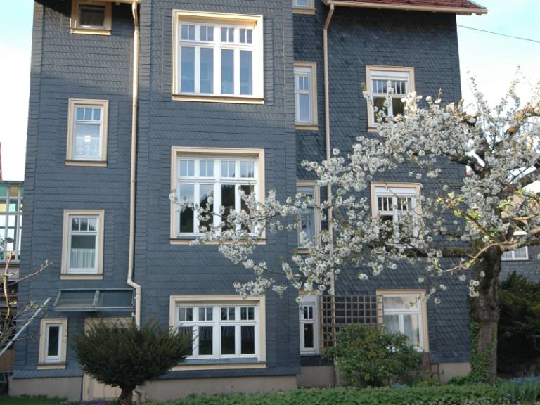 foto8