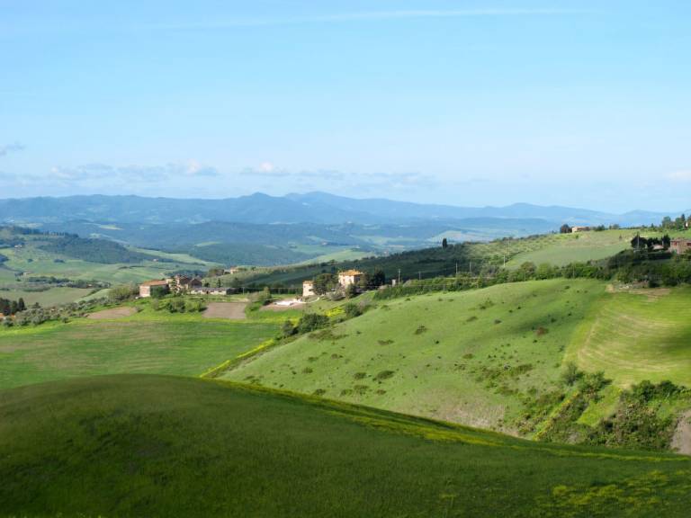 foto41