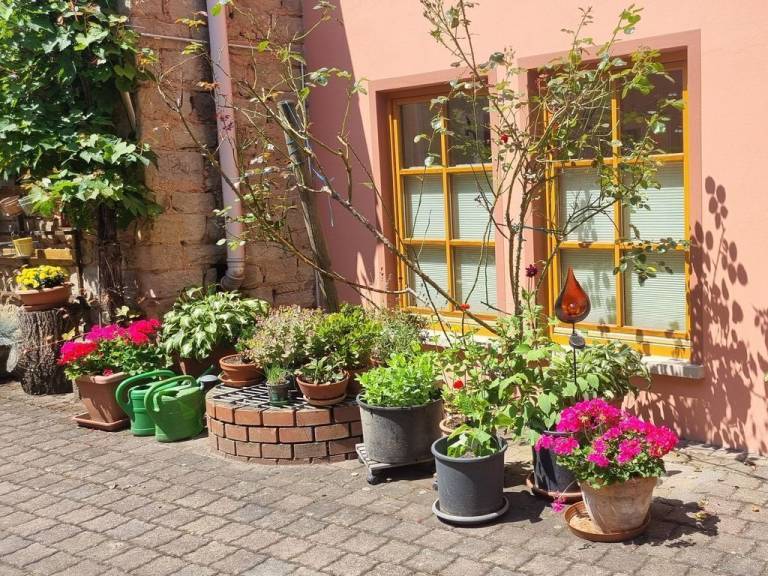 Ferienwohnung Meisenheim