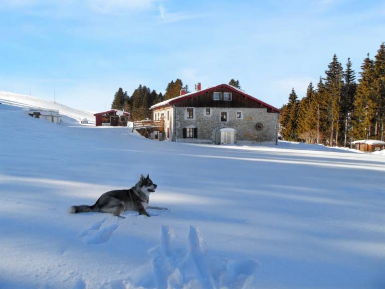 Maison de vacances Septmoncel