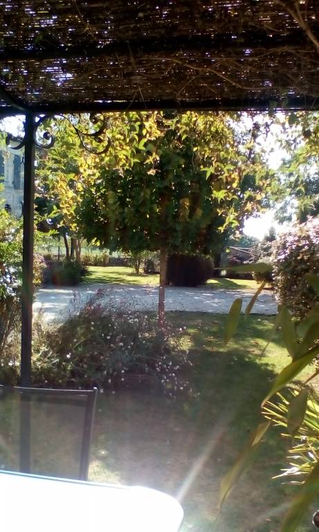foto9