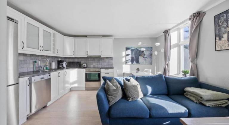 Beautiful rental apartment | Dogs allowed in Oslo