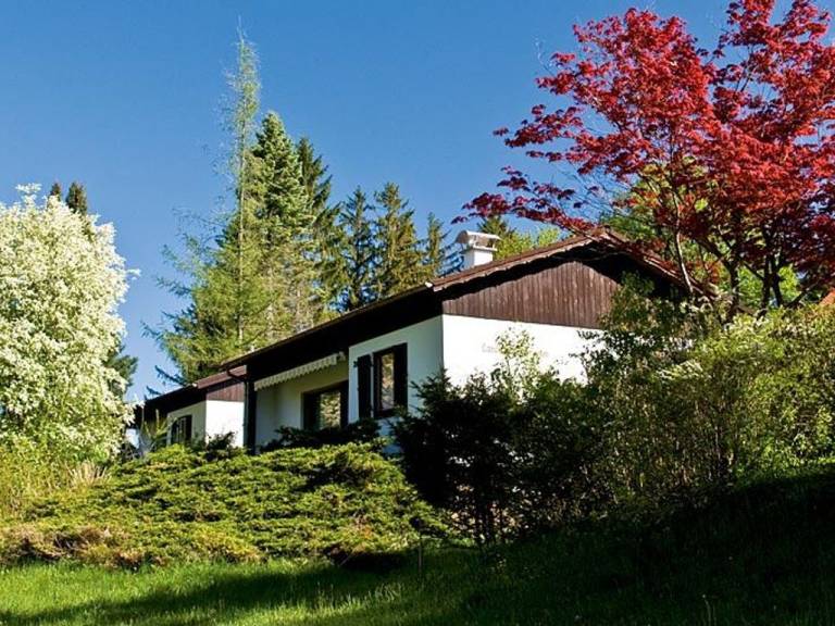 foto22