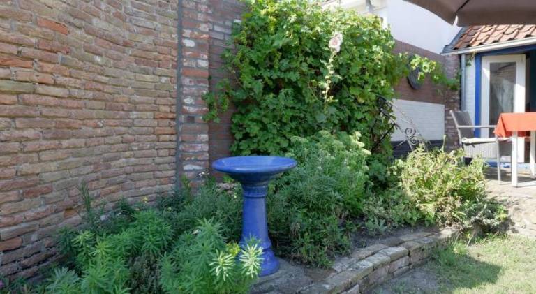 foto17