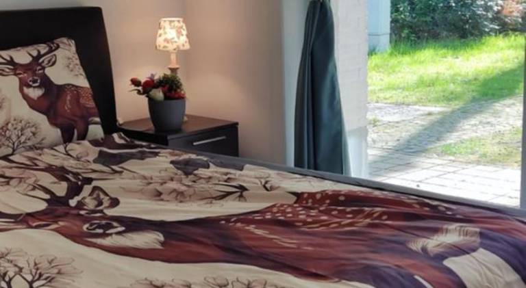 House with pool | Close to the beach | Pet-friendly in Hasselt