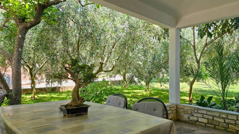 Mediterranean and dog-friendly flat just 650 metres from the beach — photo 4
