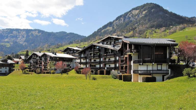 Appartement  Praz-sur-Arly