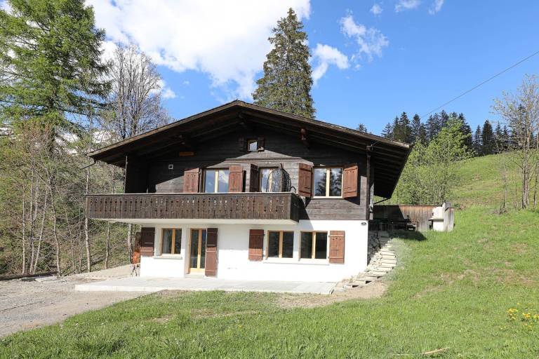 Appartement La Lenk